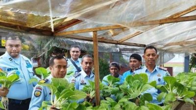 Panen Sayuran Hidroponik, WBP Rutan Surakarta Wujudkan Kemandirian Lewat Pemberdayaan Bersama Mahasiswa UNS